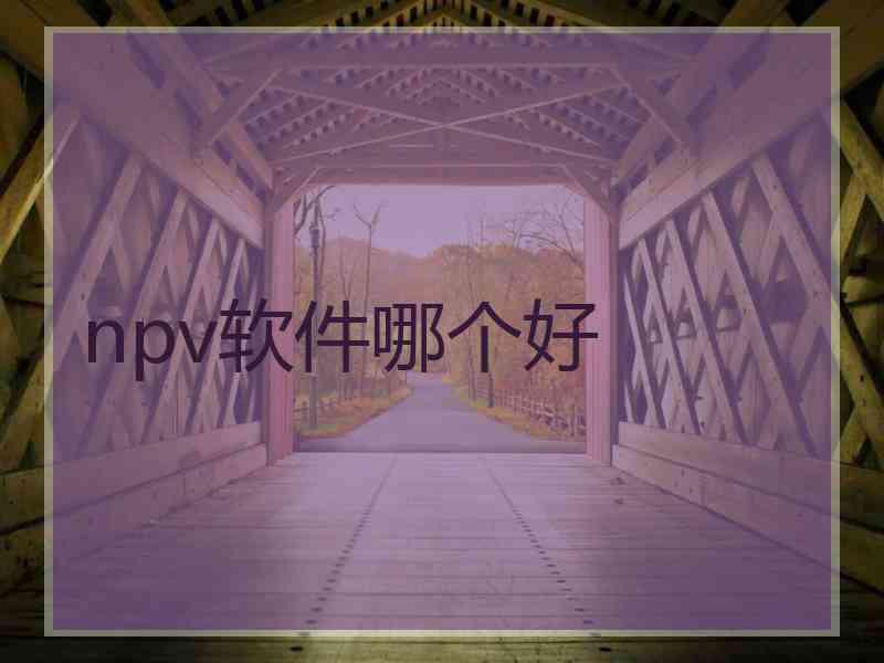 npv软件哪个好