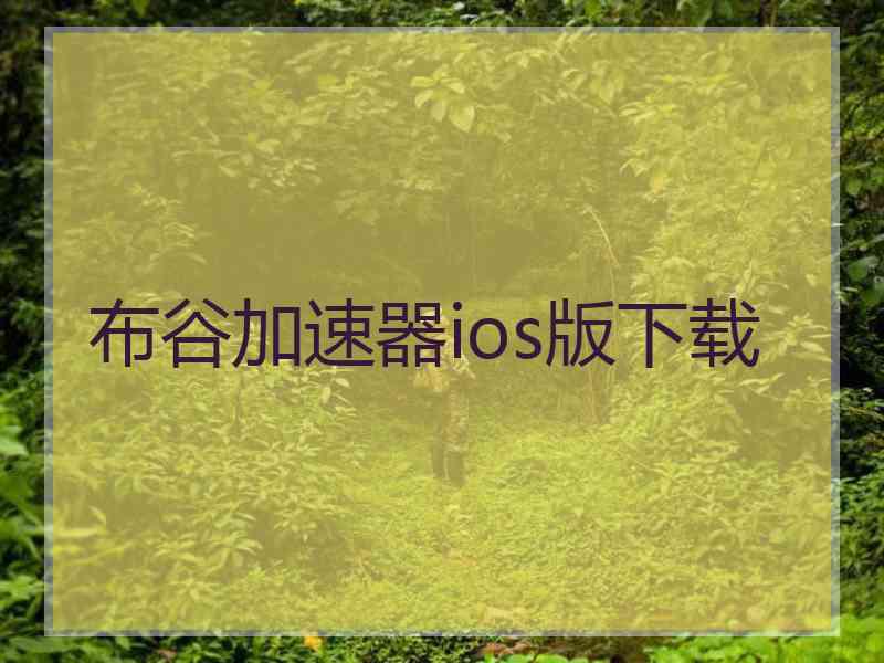 布谷加速器ios版下载