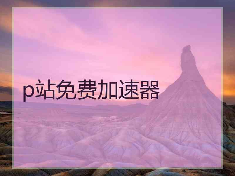 p站免费加速器