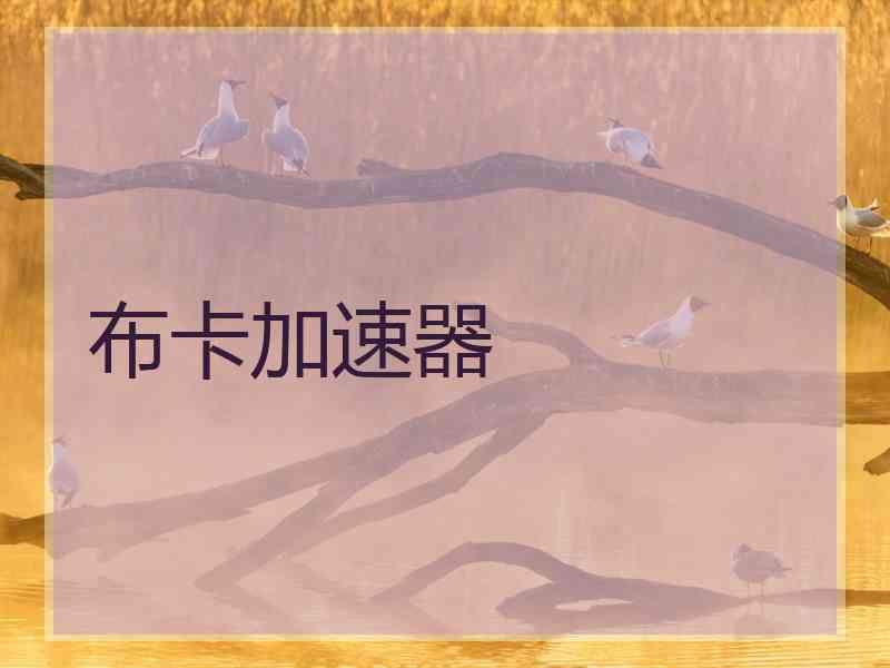 布卡加速器