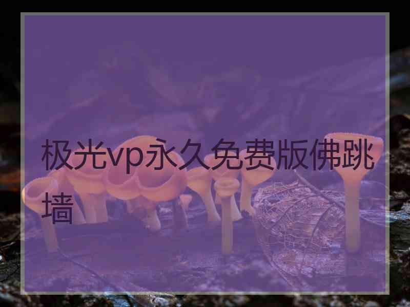 极光vp永久免费版佛跳墙