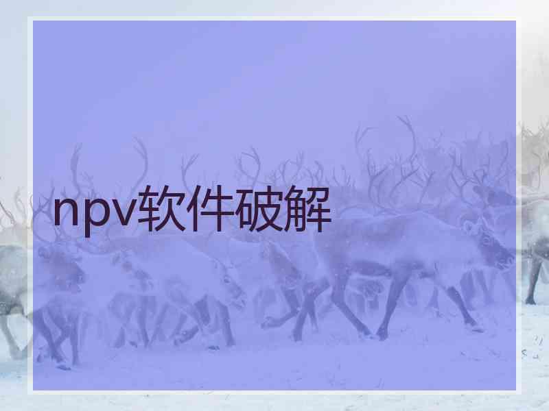 npv软件破解