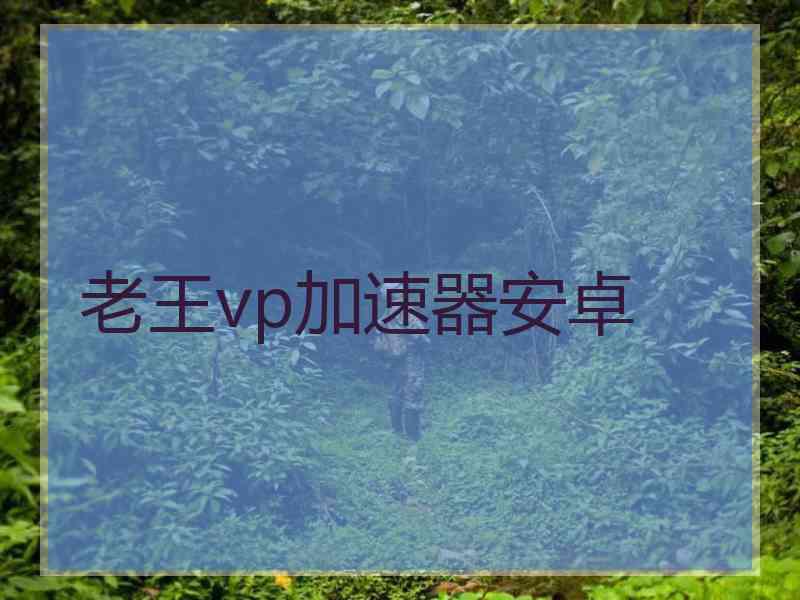 老王vp加速器安卓