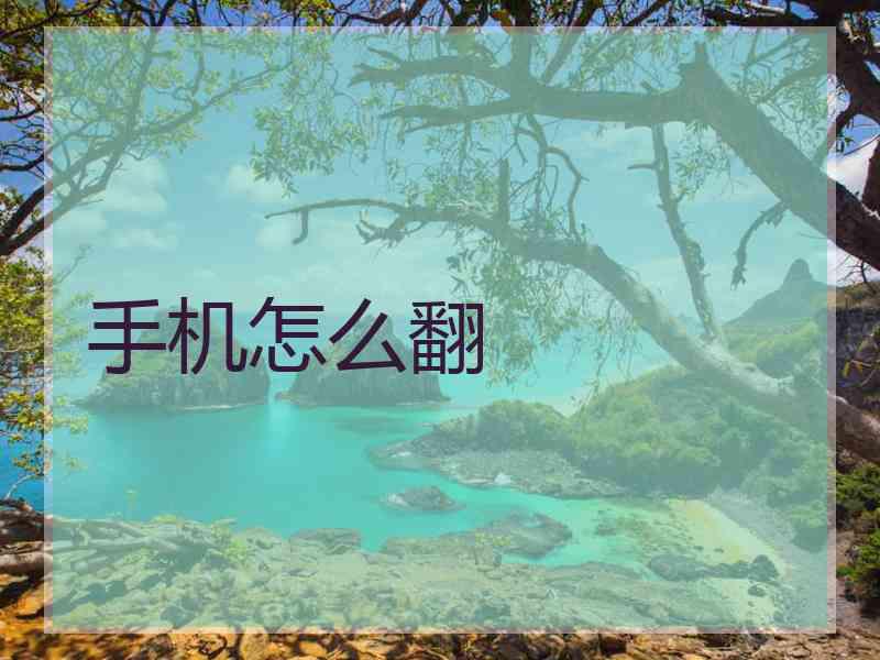手机怎么翻