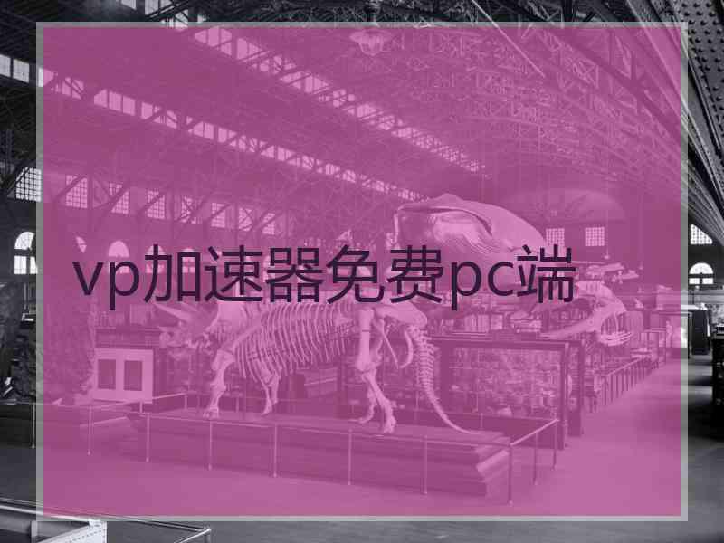 vp加速器免费pc端