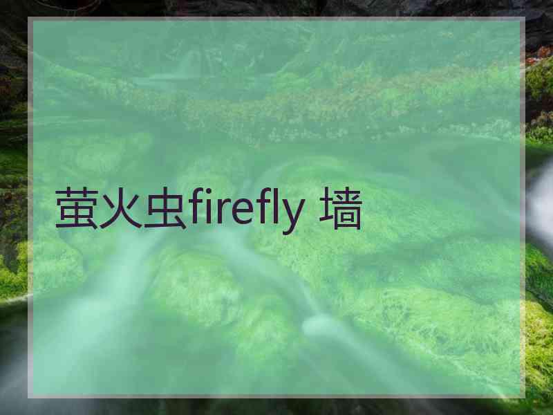 萤火虫firefly 墙