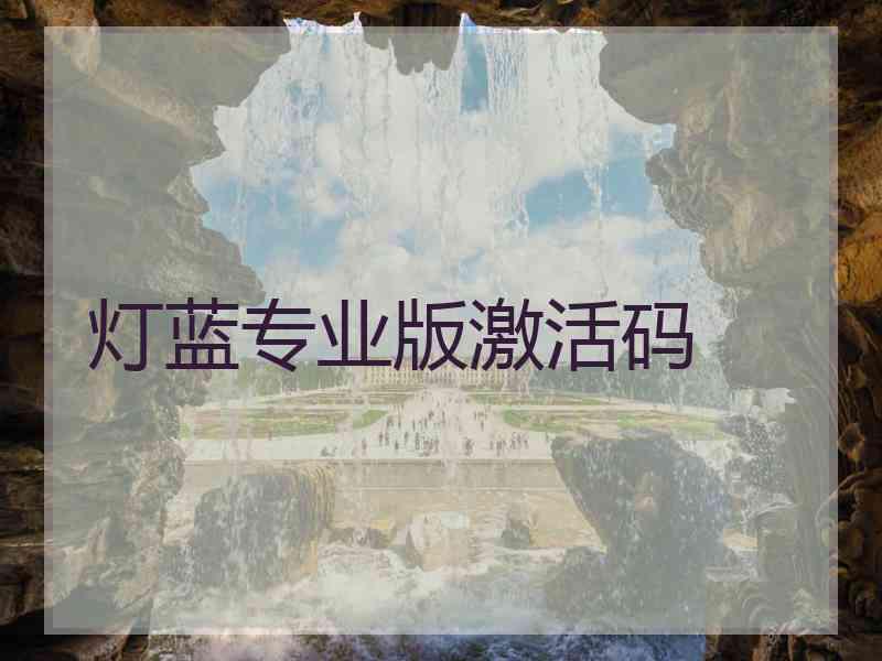 灯蓝专业版激活码