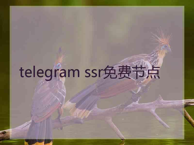 telegram ssr免费节点