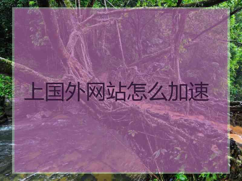 上国外网站怎么加速