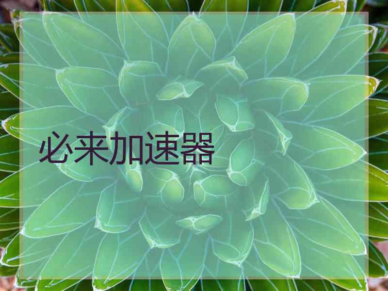 必来加速器