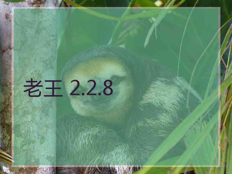 老王 2.2.8