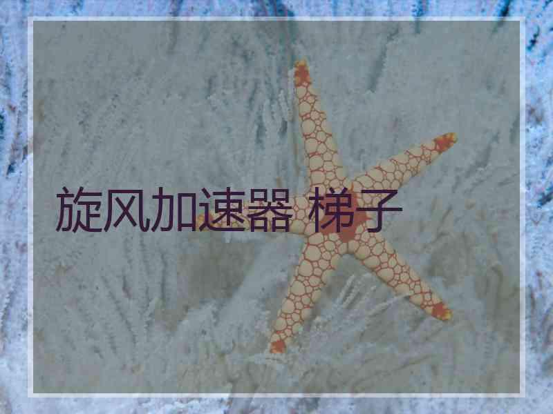 旋风加速器 梯子