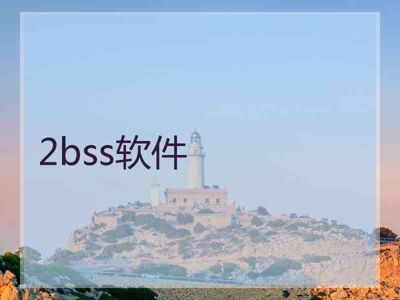 2bss软件