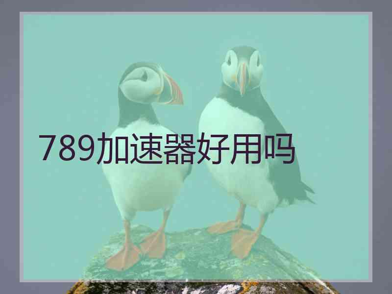 789加速器好用吗