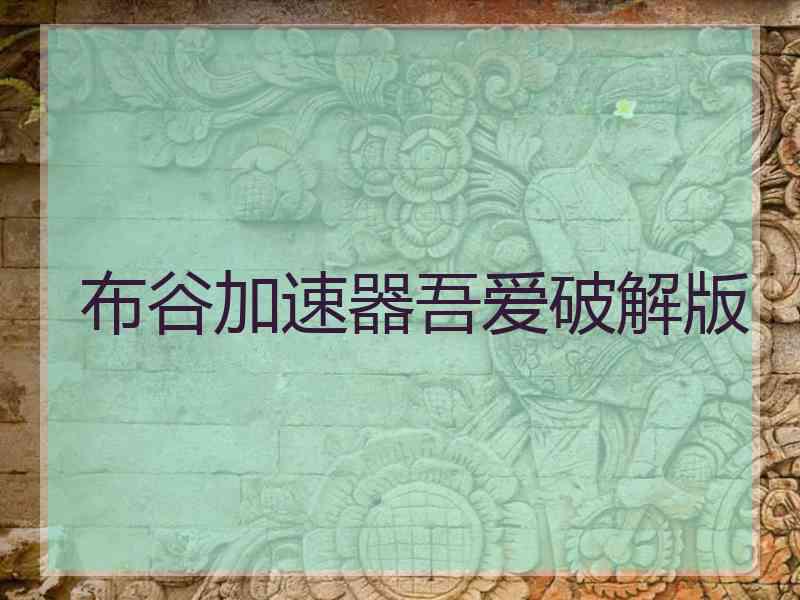 布谷加速器吾爱破解版