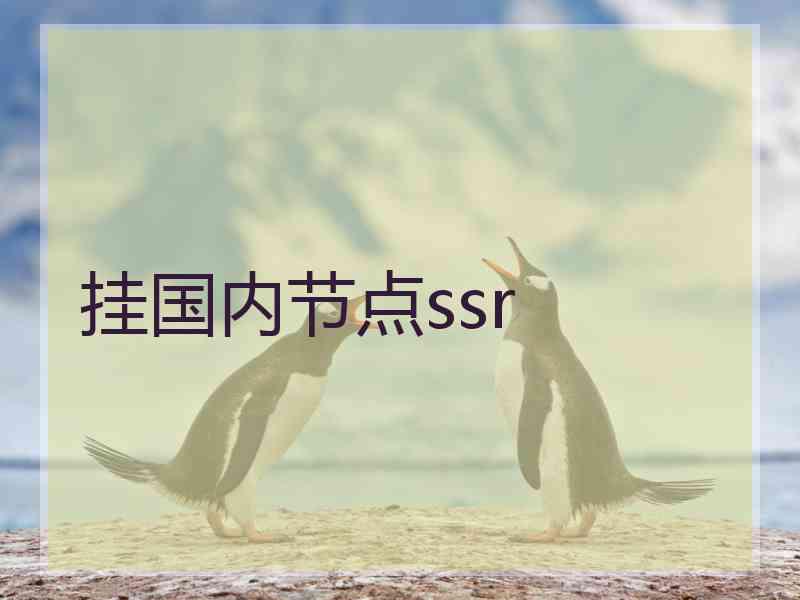 挂国内节点ssr