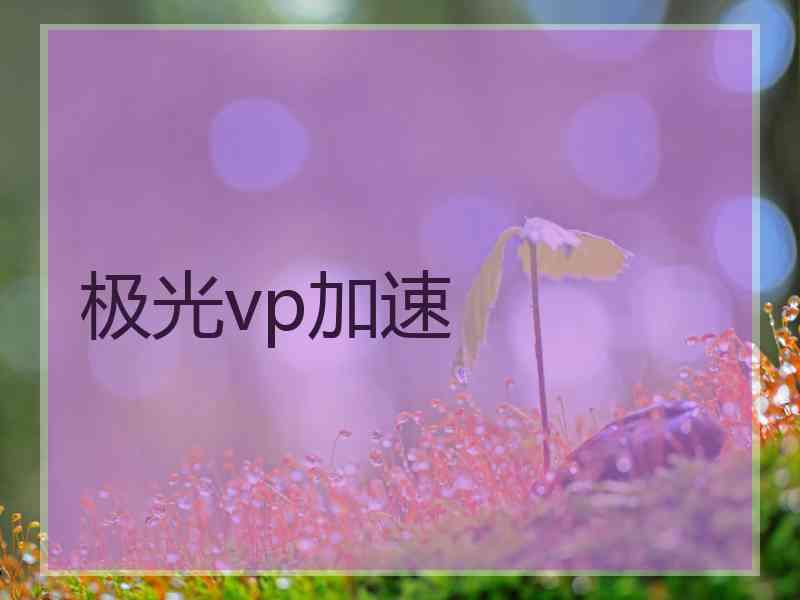 极光vp加速