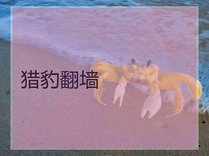 猎豹翻墙