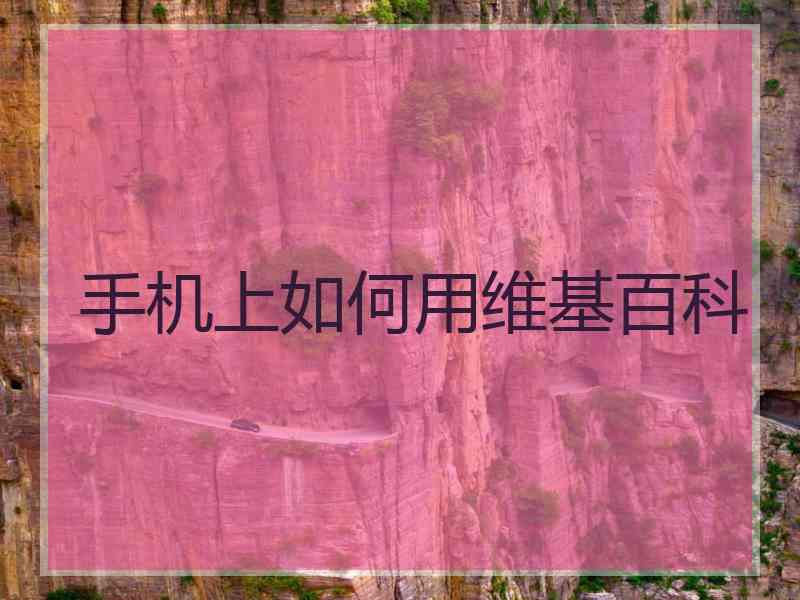 手机上如何用维基百科