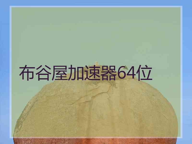 布谷屋加速器64位