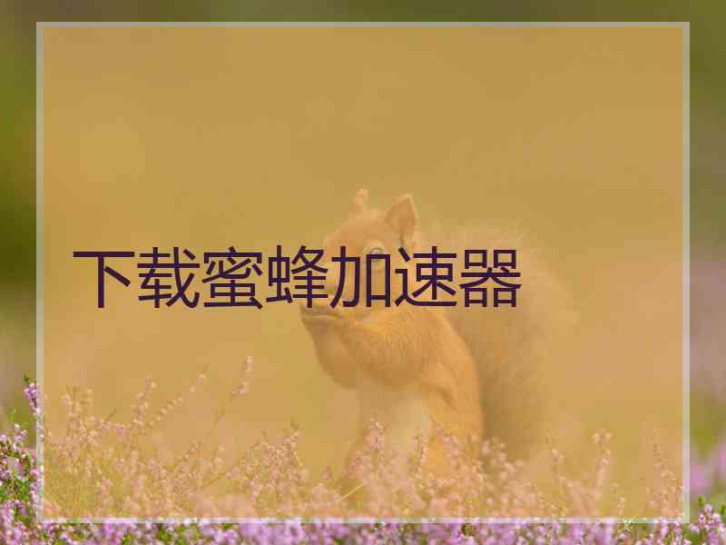 下载蜜蜂加速器