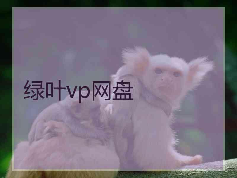 绿叶vp网盘