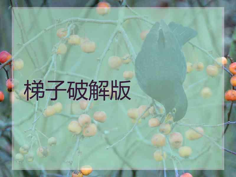 梯子破解版