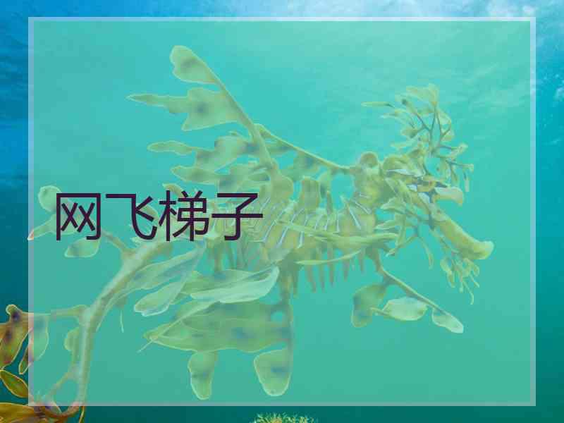 网飞梯子