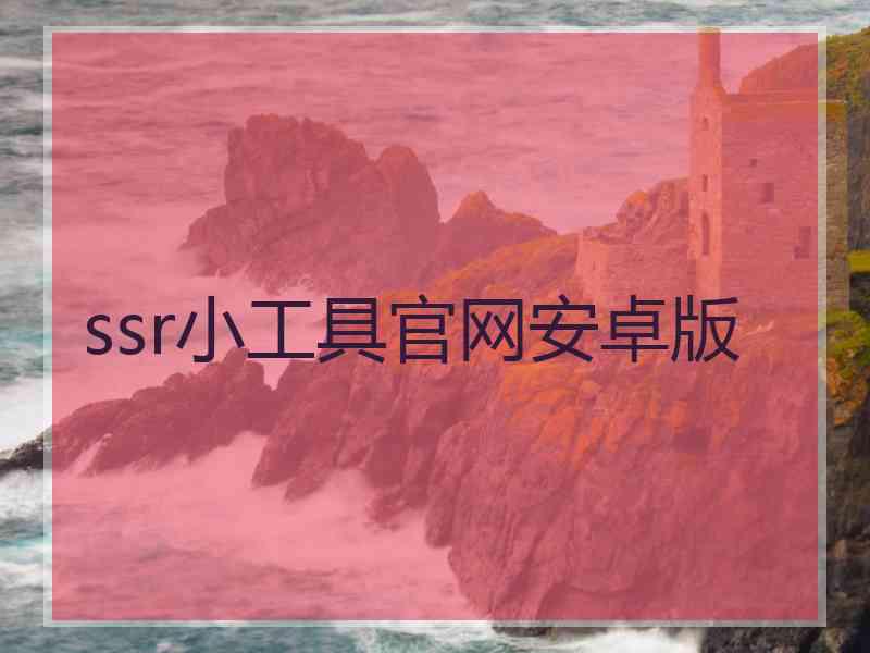 ssr小工具官网安卓版