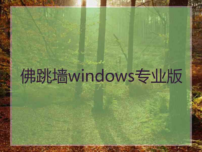 佛跳墙windows专业版