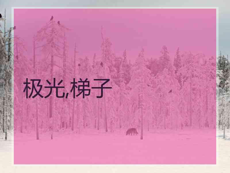 极光,梯子