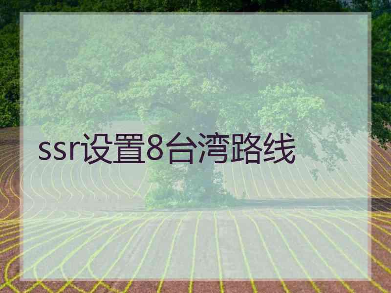ssr设置8台湾路线