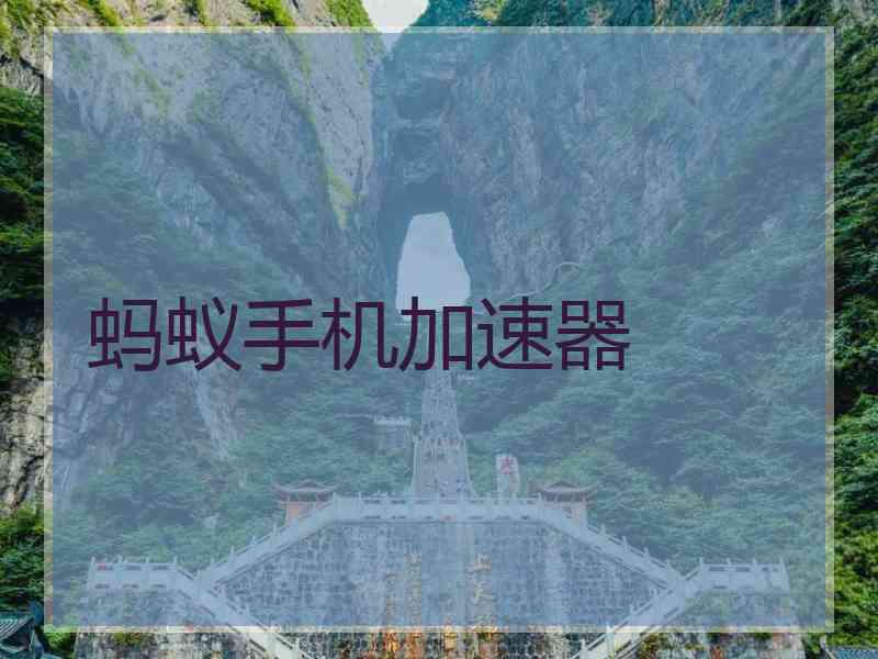 蚂蚁手机加速器