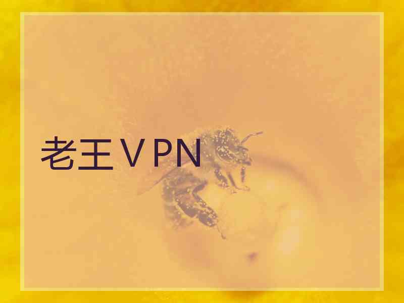 老王ⅤPN