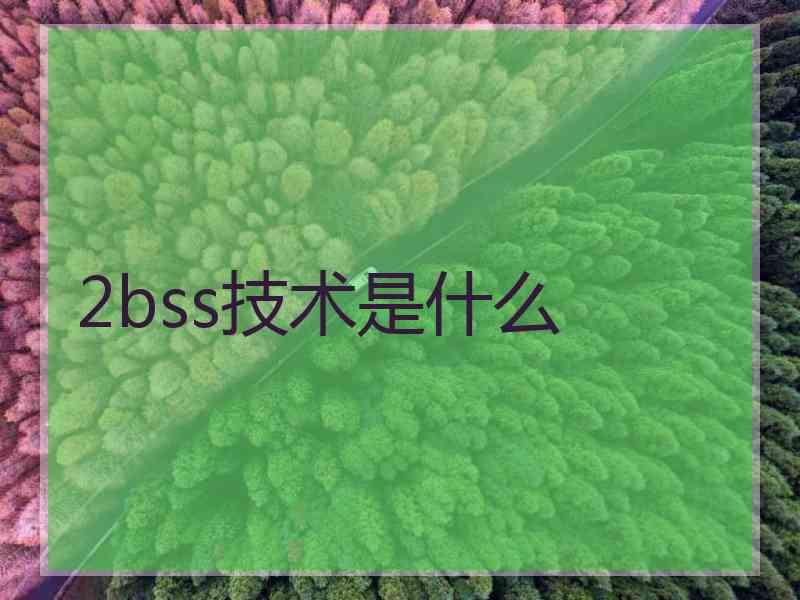 2bss技术是什么