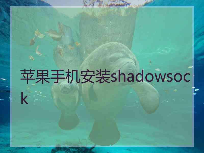 苹果手机安装shadowsock