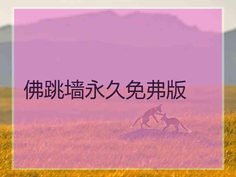 佛跳墙永久免弗版