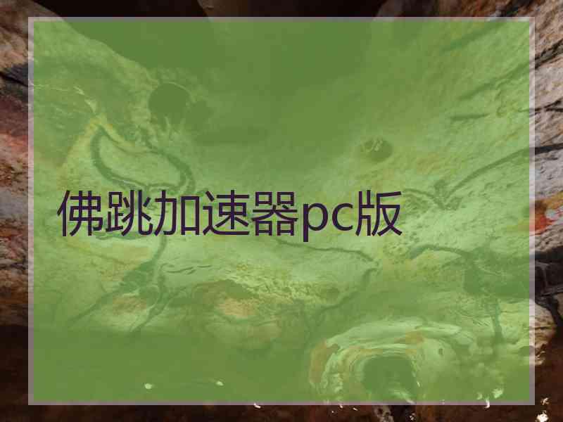 佛跳加速器pc版
