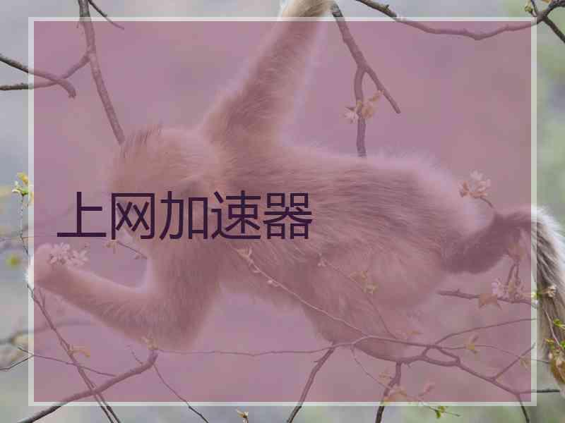 上网加速器