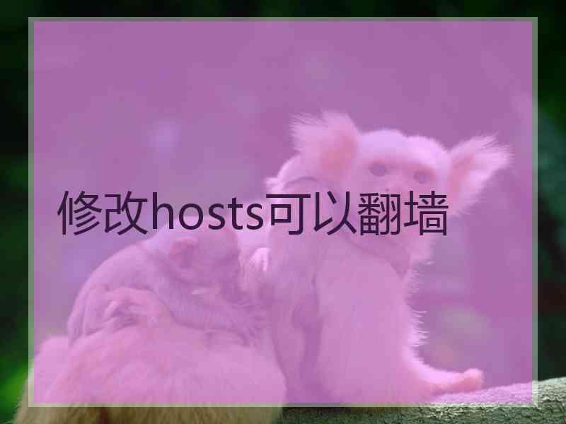 修改hosts可以翻墙