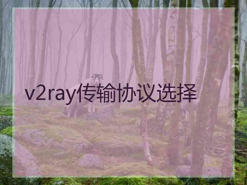 v2ray传输协议选择