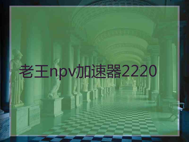 老王npv加速器2220