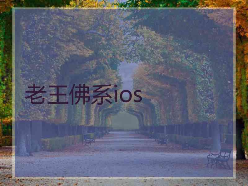 老王佛系ios