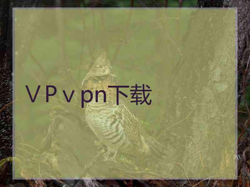 ⅤPⅴpn下载