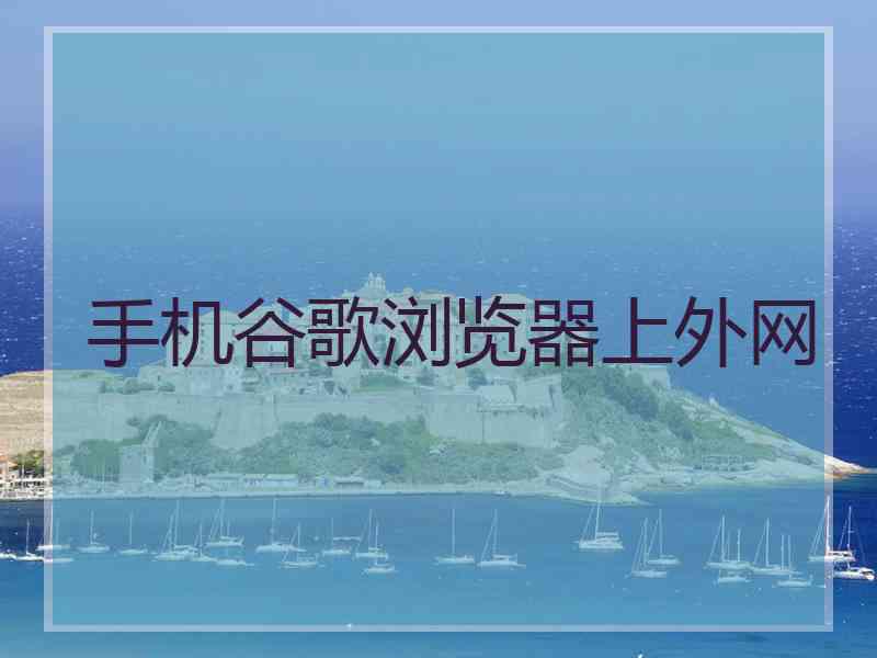 手机谷歌浏览器上外网