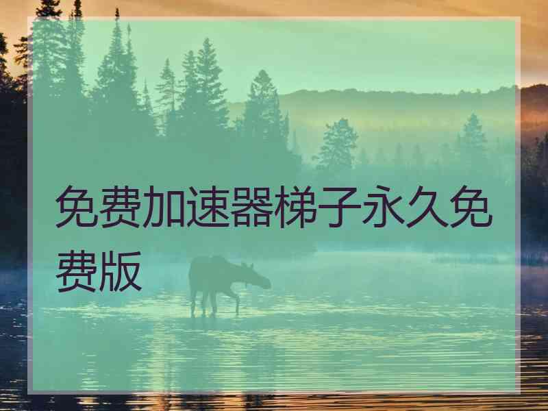 免费加速器梯子永久免费版