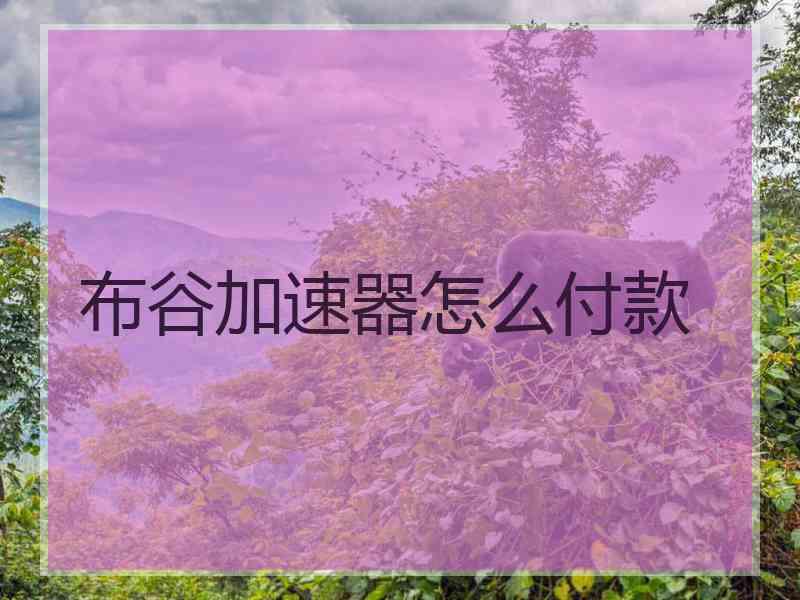 布谷加速器怎么付款