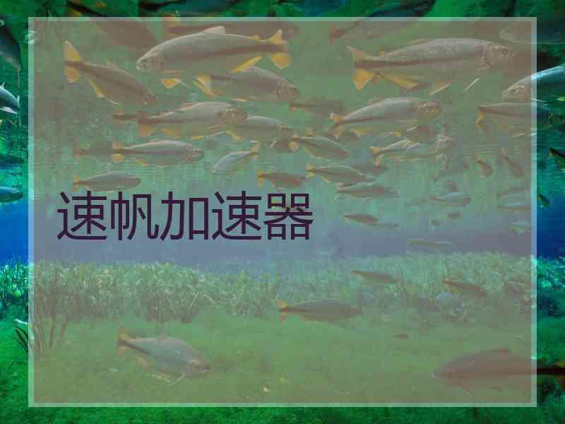 速帆加速器