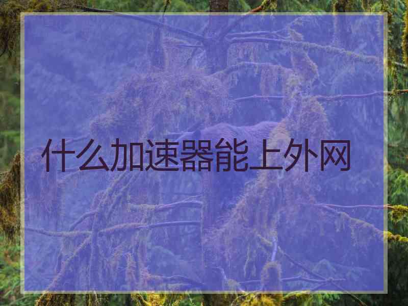 什么加速器能上外网