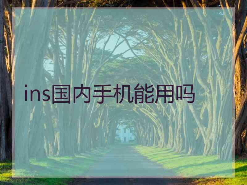 ins国内手机能用吗